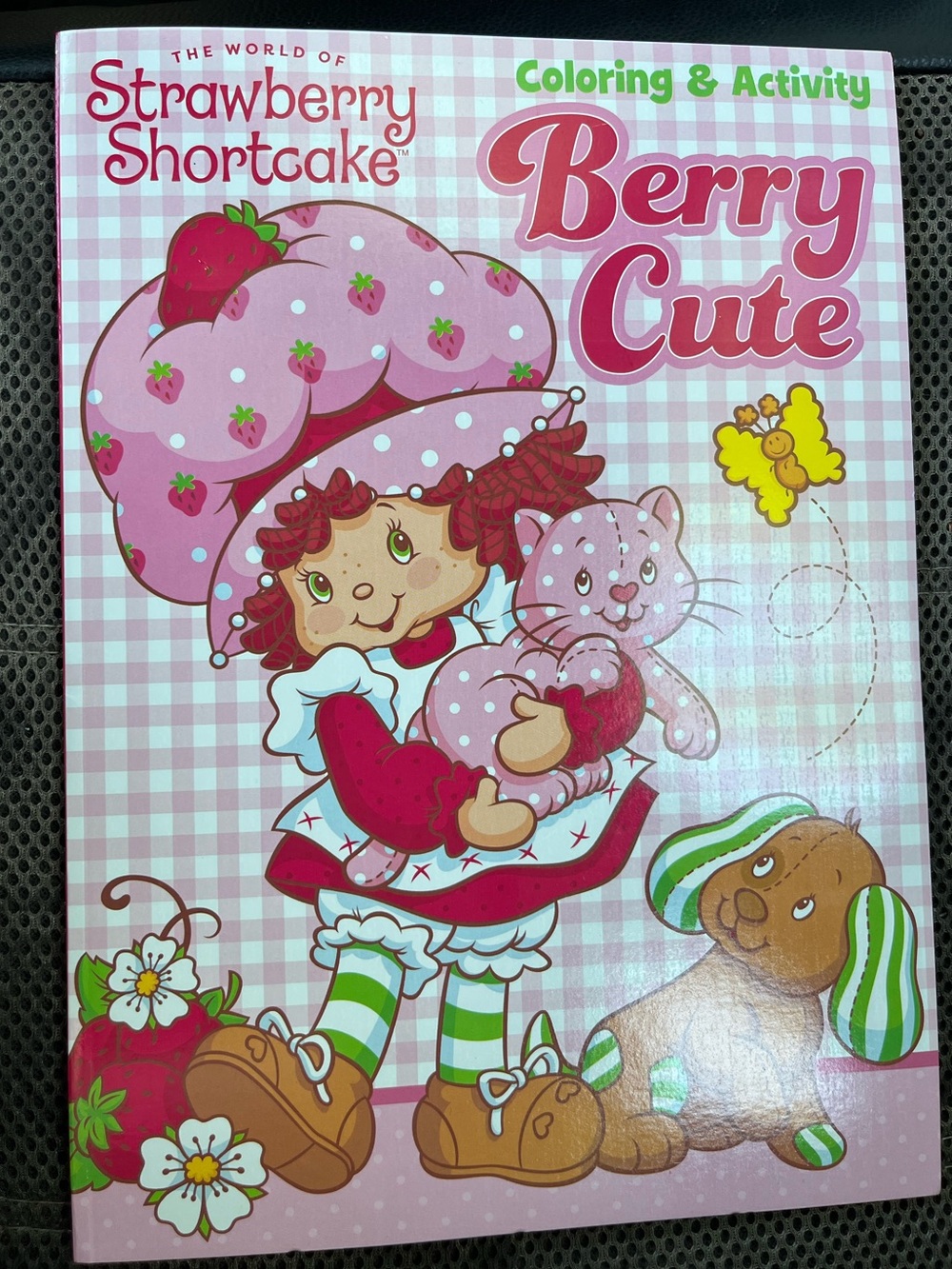 Strawberry Shortcake coloring book